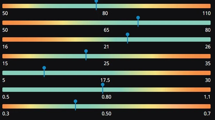 Ein horizontales Balkendiagramm mit sieben Steigungsbalken, deren Endpunkte jeweils durch Zahlen gekennzeichnet sind. Blaue Punkte über jedem Balken zeigen bestimmte Werte entlang der Balken an. Die Werte reichen von 0,3 bis 110. Bild im 123fit Rahlstedt